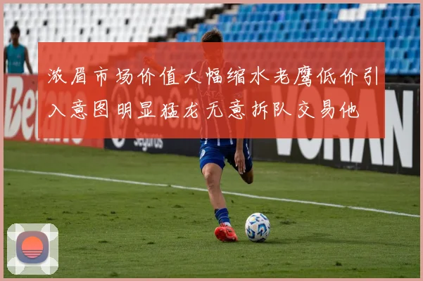 浓眉市场价值大幅缩水老鹰低价引入意图明显猛龙无意拆队交易他