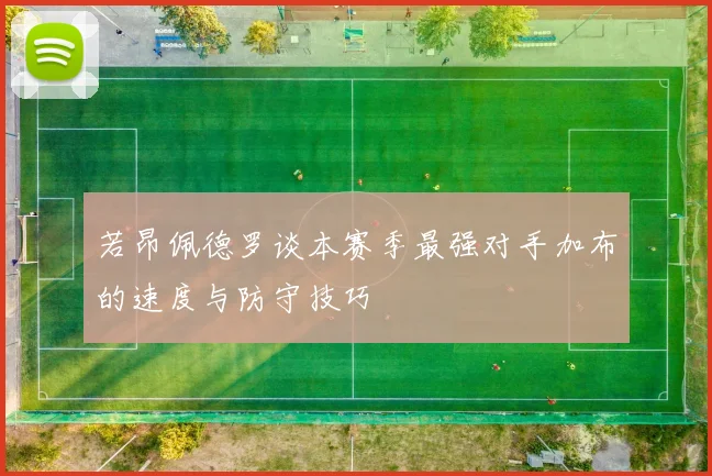 若昂佩德罗谈本赛季最强对手加布的速度与防守技巧